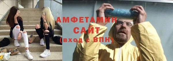шишки Бородино