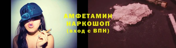 шишки Бородино