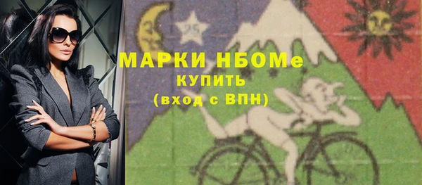 шишки Бородино