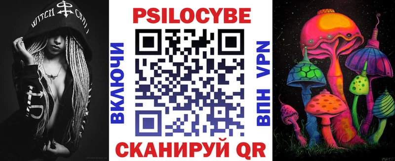 Псилоцибиновые грибы Psilocybe  Купить закладки  Островной 