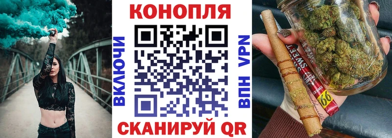 Купить закладки  Островной  Бошки Шишки сатива 